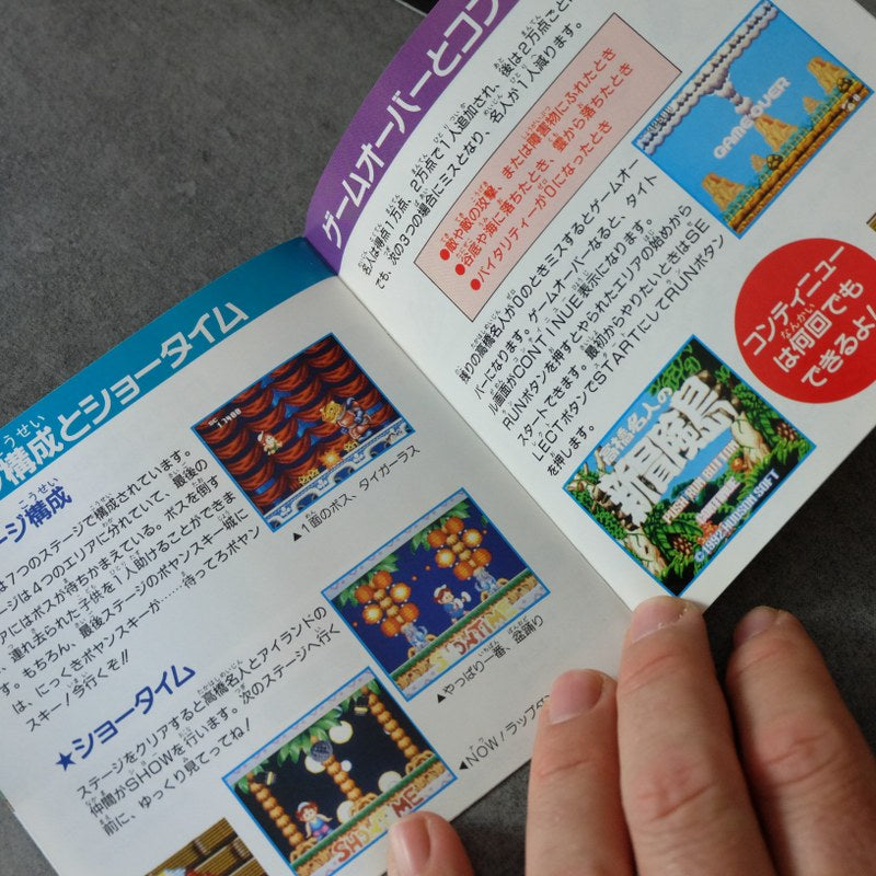 Adventure Island