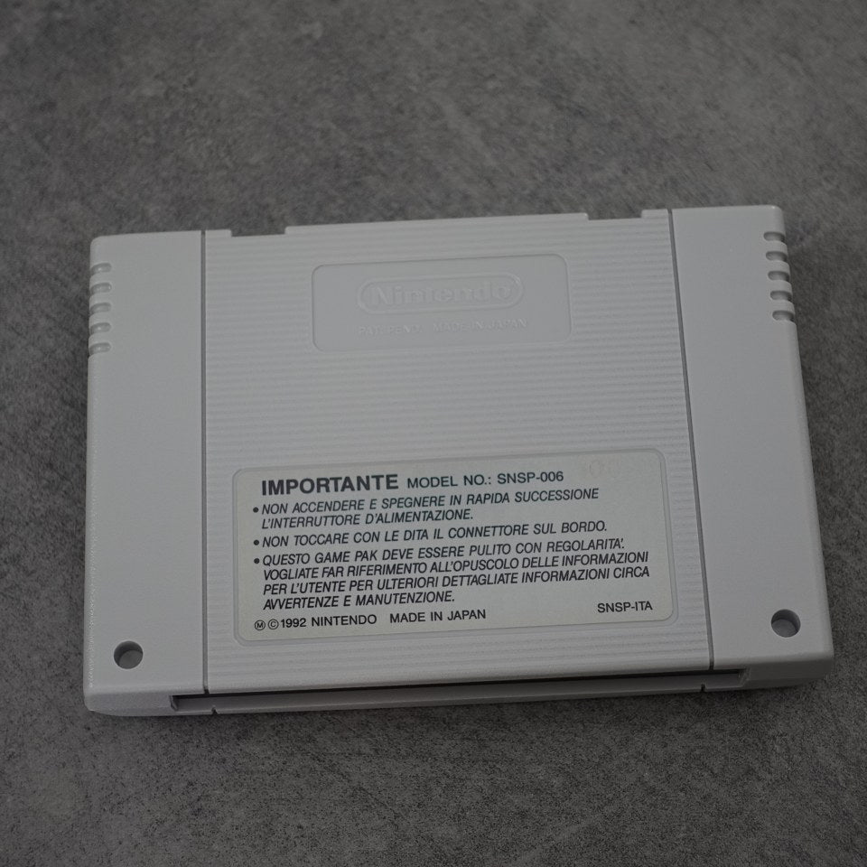 Street Fighter 2 GIG Nintendo