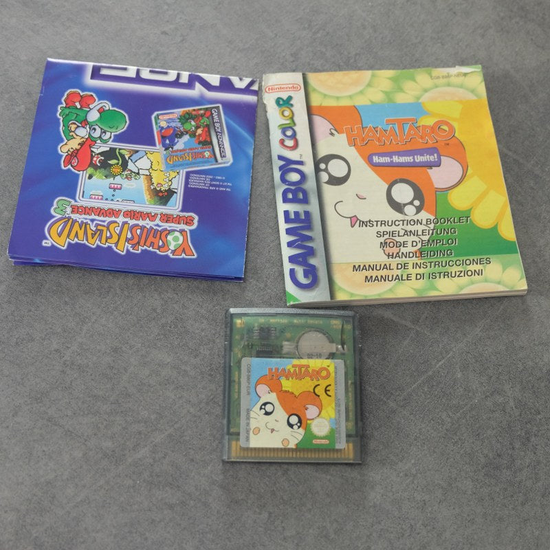 Hamtaro Ham-Hams Unite! Nintendo
