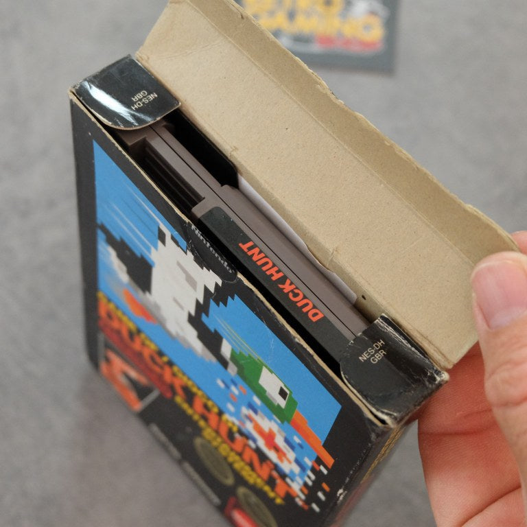 Duck Hunt Nintendo