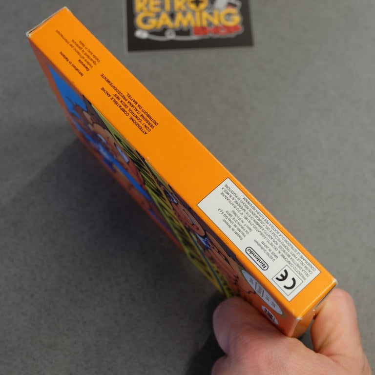 Donkey Kong Classics GIG Nintendo