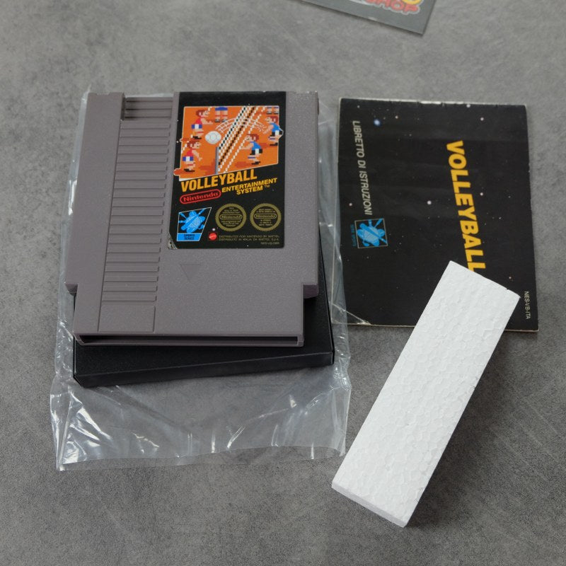 Volleyball Nintendo