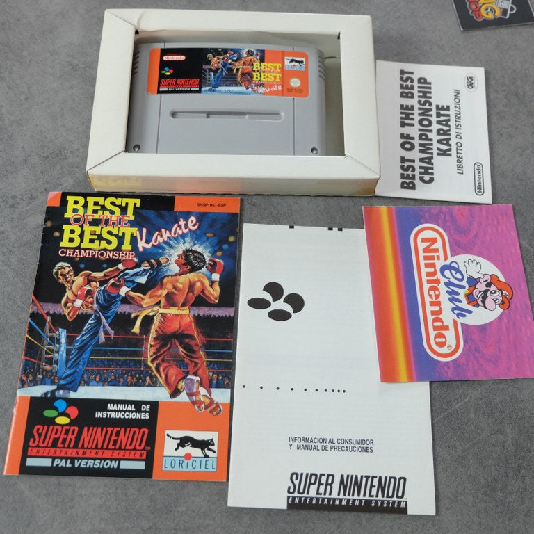 Best of The Best Championship Karate Nintendo