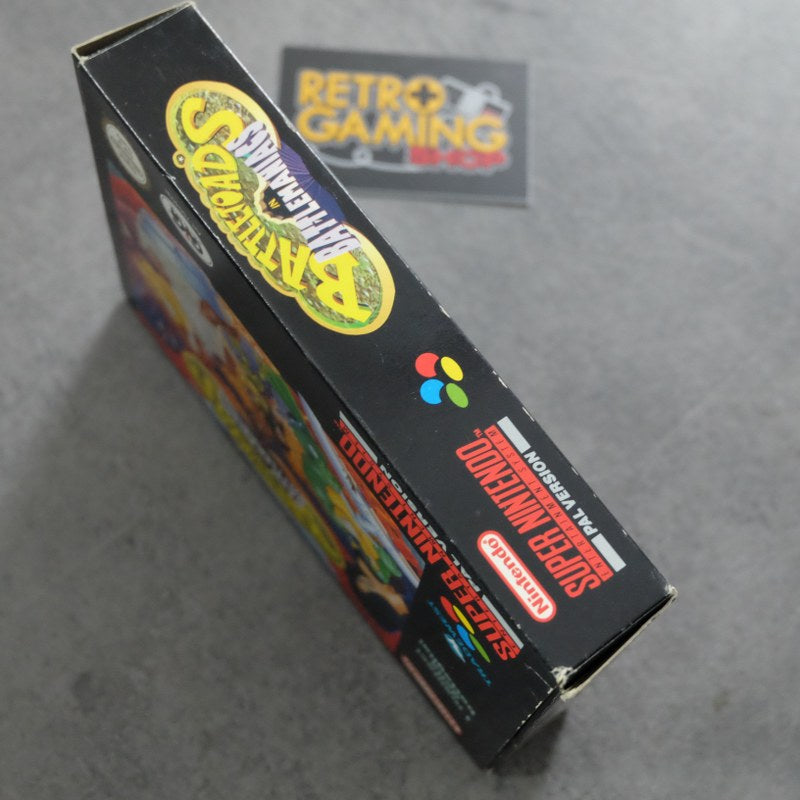 Battletoads in Battlemaniacs