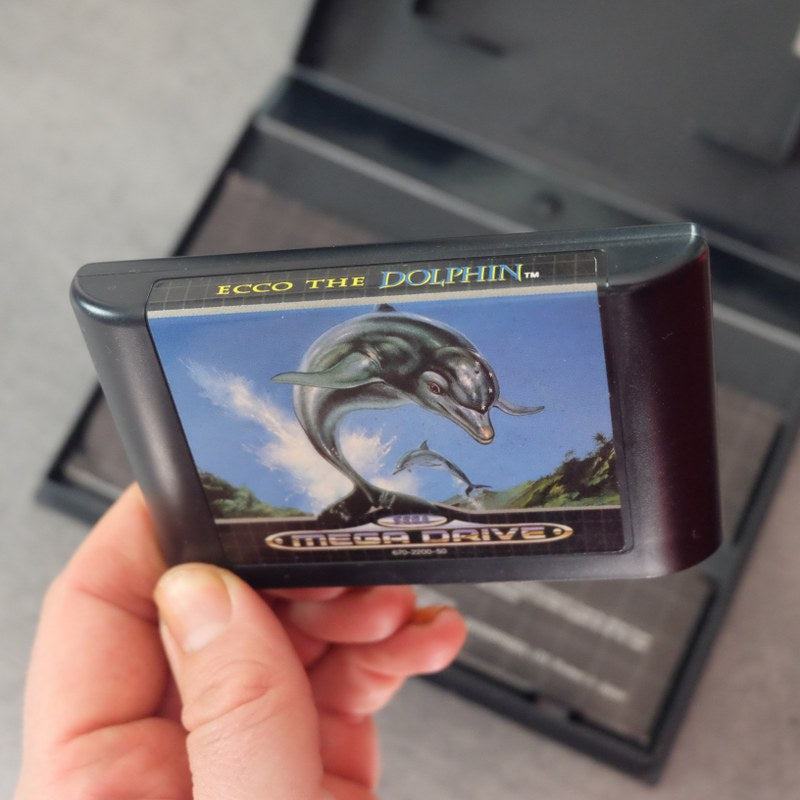 Ecco the Dolphin