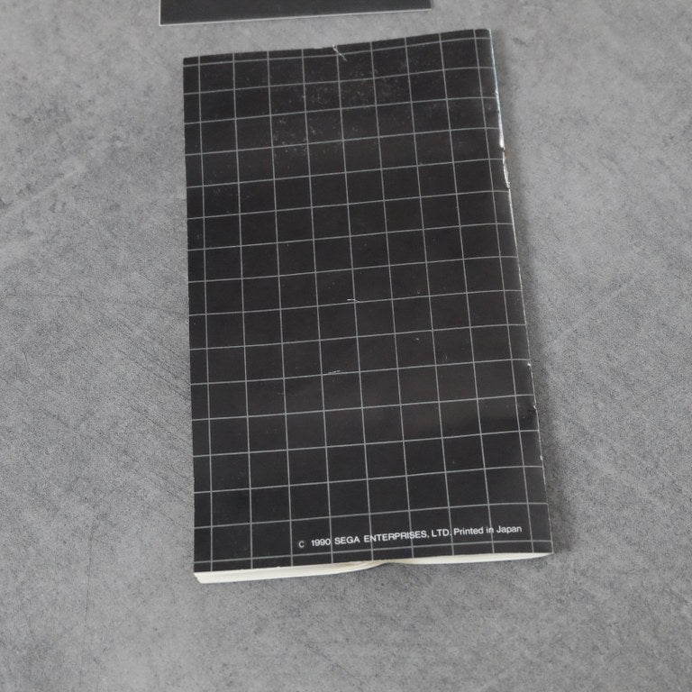 Sword of Vermillion SEGA