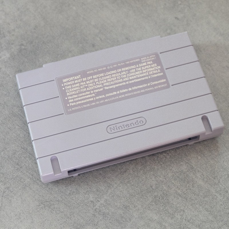 Illusion of Gaia Nintendo