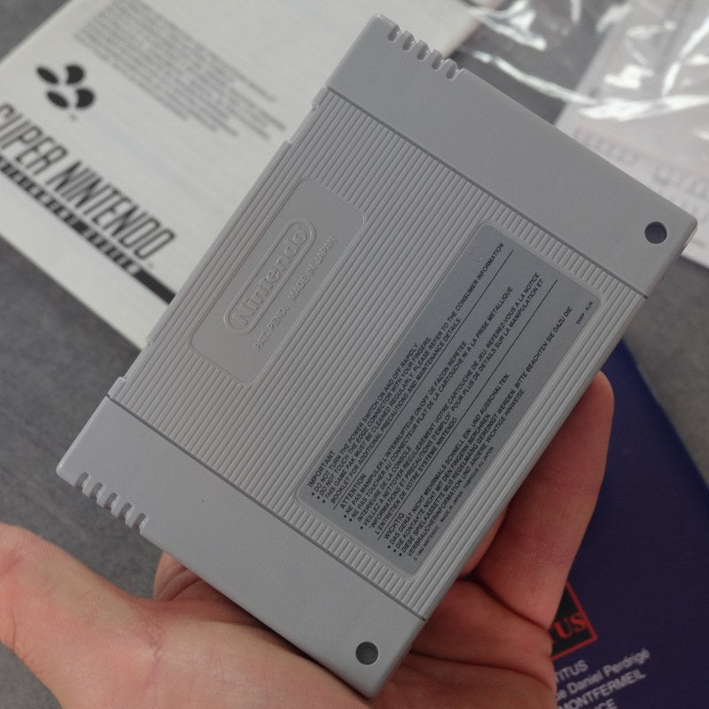 Incantaton Nintendo