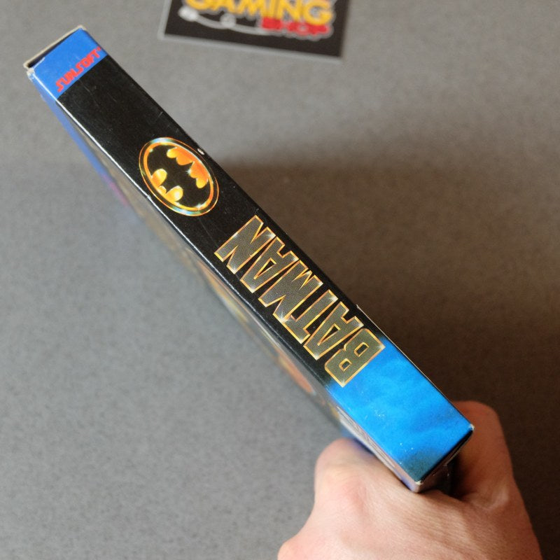 Batman the Videogame