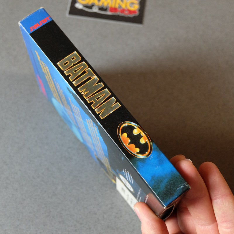 Batman the Videogame