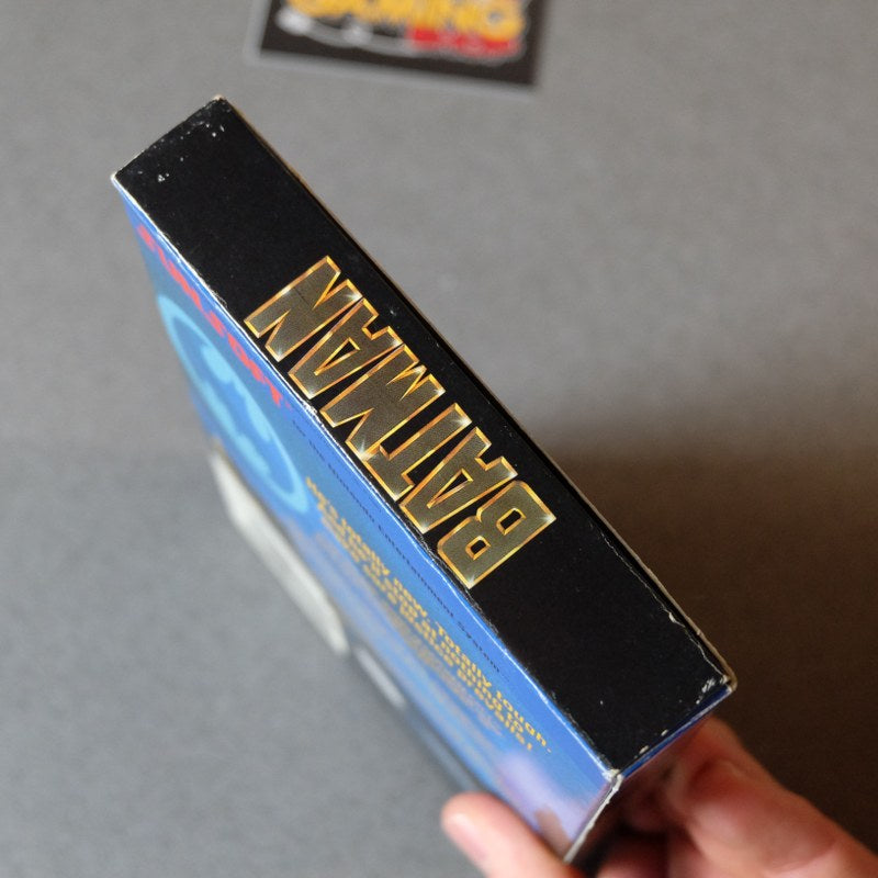 Batman the Videogame