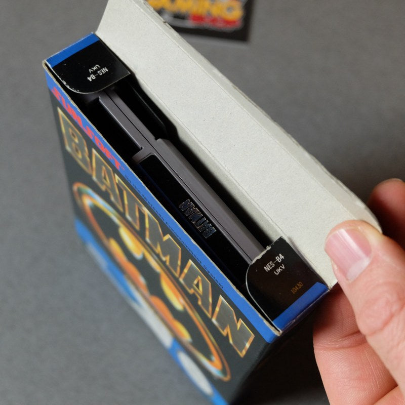 Batman the Videogame