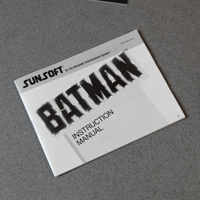 Batman the Videogame