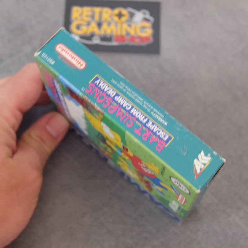 Bart Simpson's Escape from Camp Deadly Nintendo