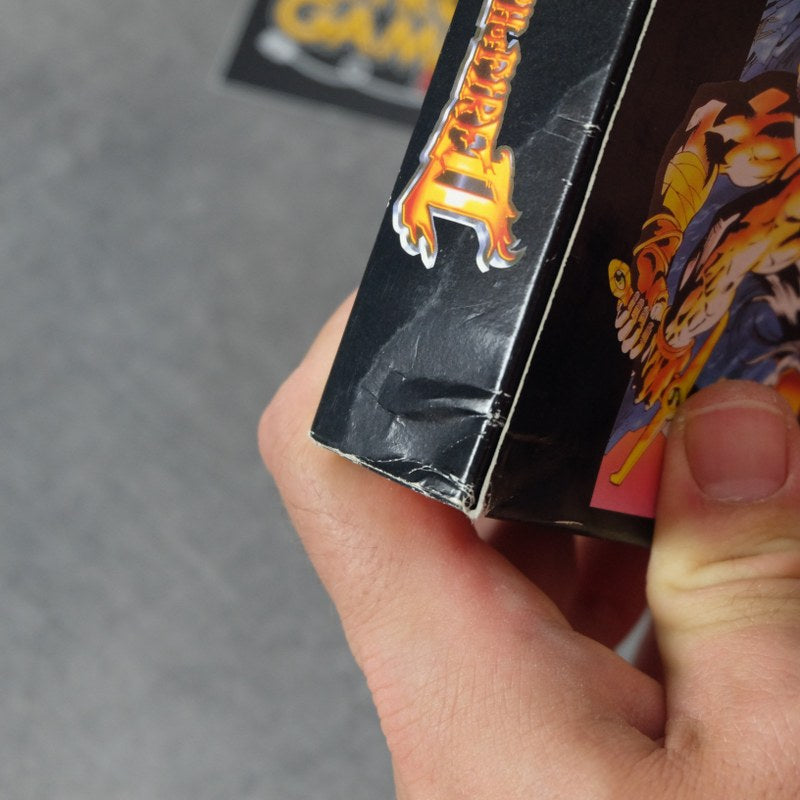 Breath of Fire 2 Nintendo