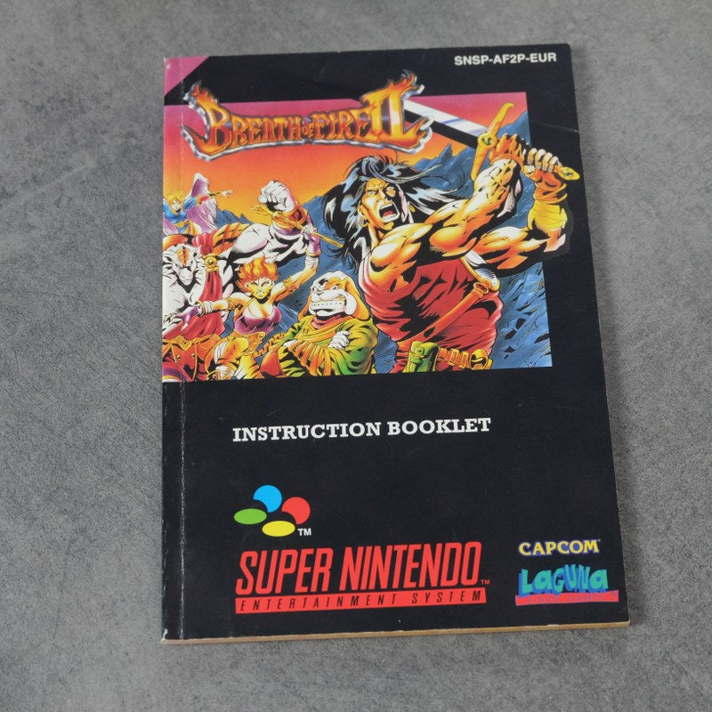 Breath of Fire 2 Nintendo