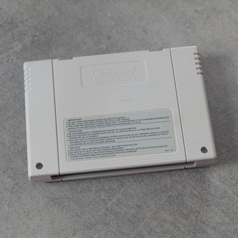 Breath of Fire 2 Nintendo