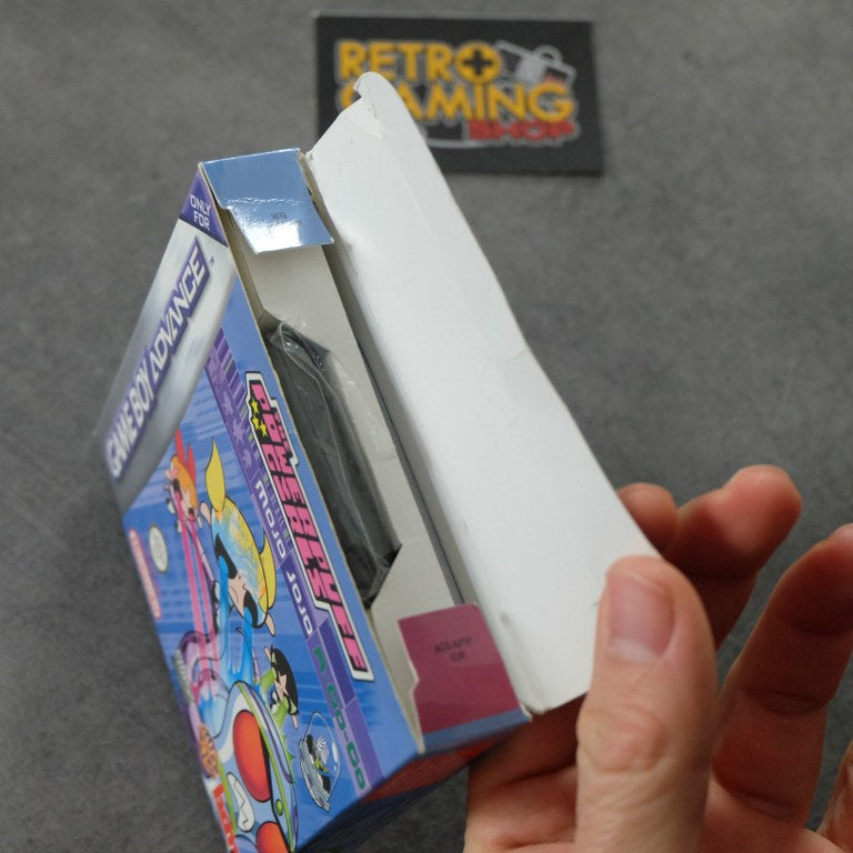 The Powerpuff Girls Nintendo
