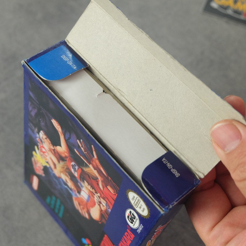 Fatal Fury Nintendo