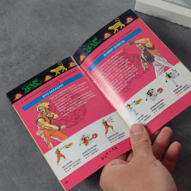 Art Of Fighting Nintendo