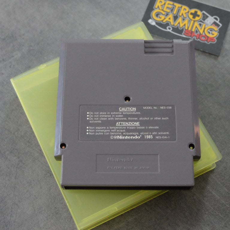 The Flintstones Sorpresa AL Picco Del Dinosauro Nintendo