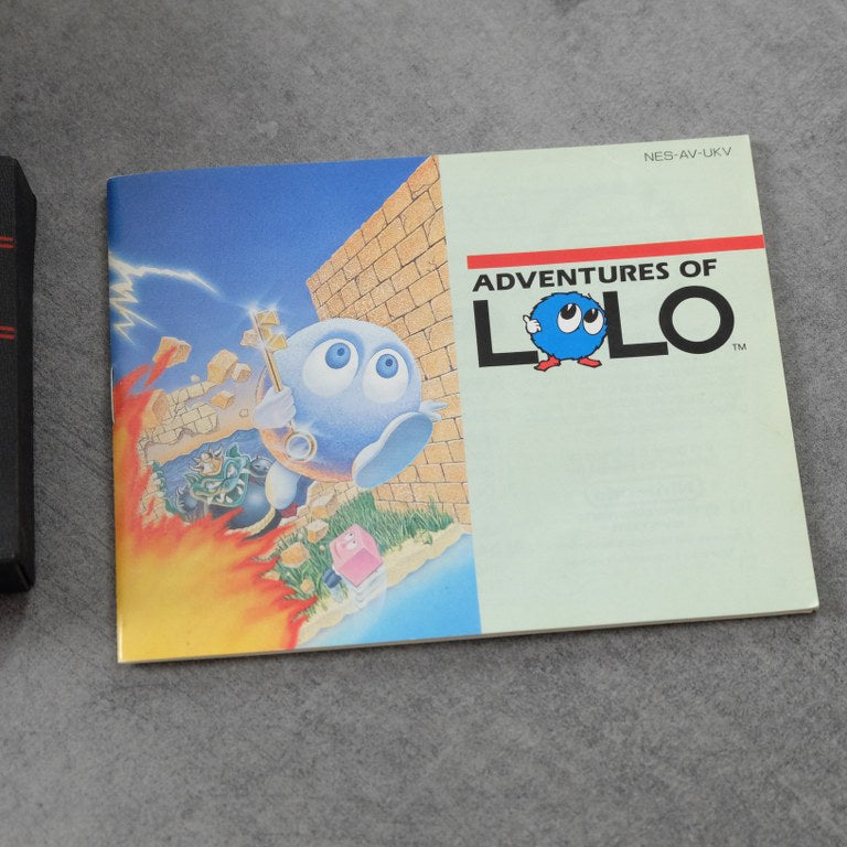 Adventures Of Lolo Nintendo