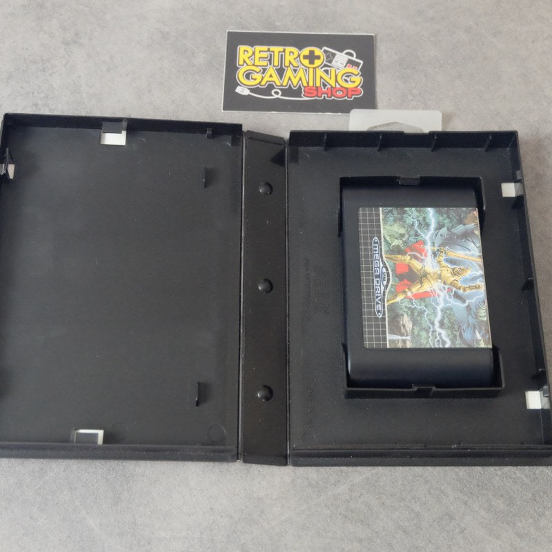 Super Ghouls'n'Ghosts SEGA