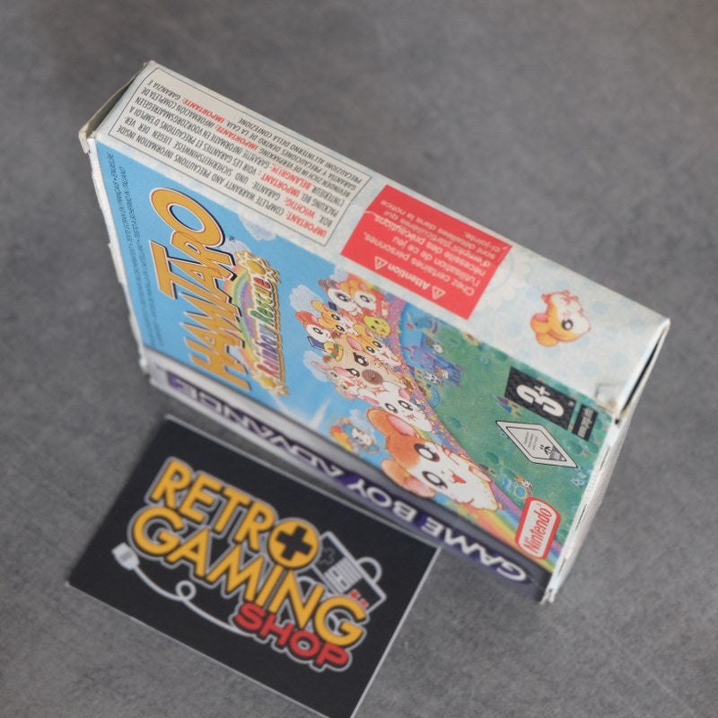 Hamtaro Rainbow Rescue