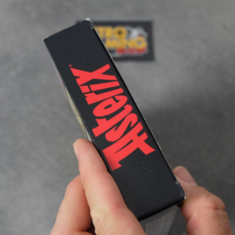 Asterix Nintendo