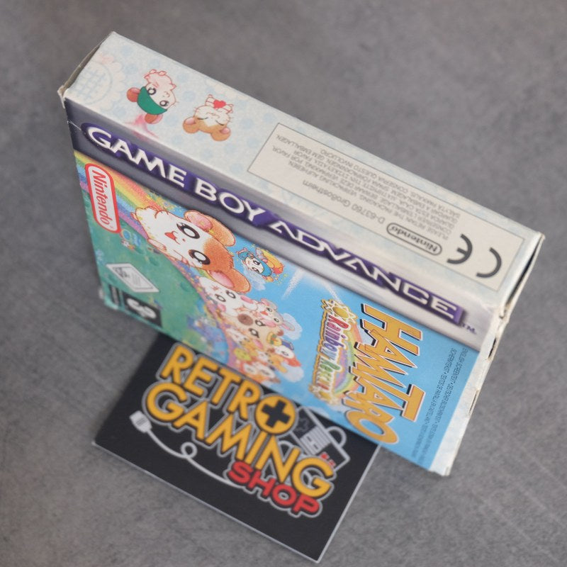 Hamtaro Rainbow Rescue