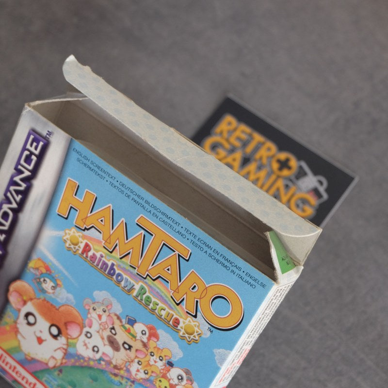 Hamtaro Rainbow Rescue