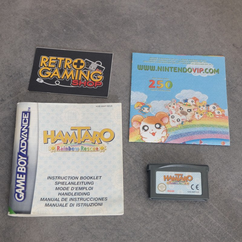 Hamtaro Rainbow Rescue