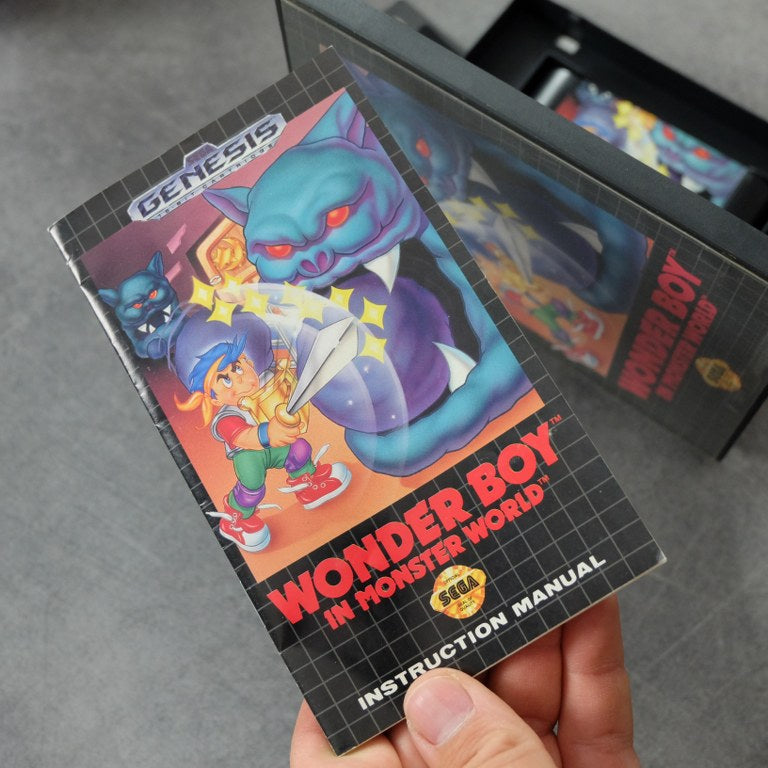 Wonder Boy in Monster World SEGA