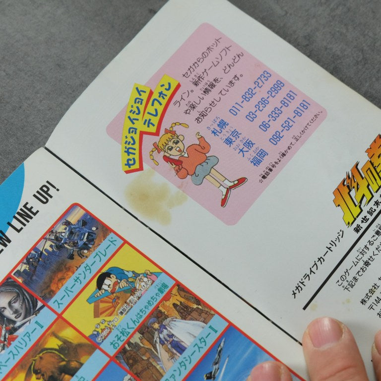 Hokuto No Ken: Shinseikimatsu Kyuuseishu Densetsu SEGA