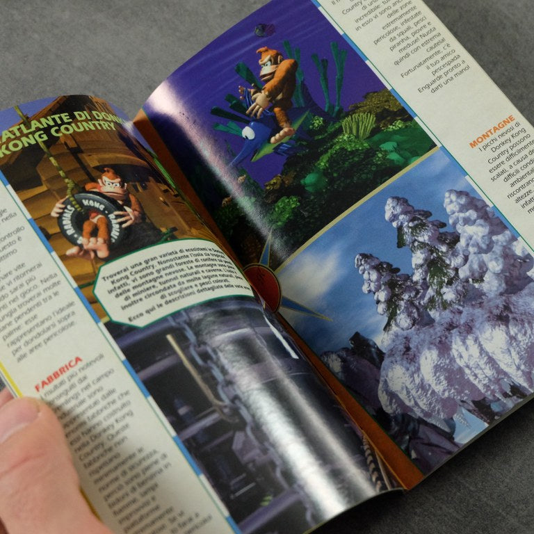 Donkey Kong Country Gig Nintendo