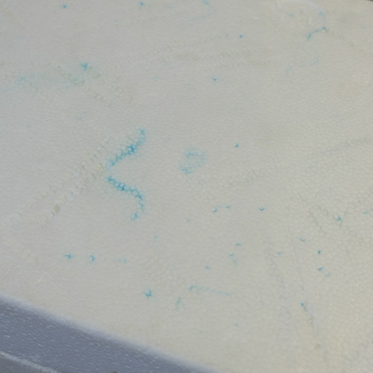 Nes Super Set Nintendo