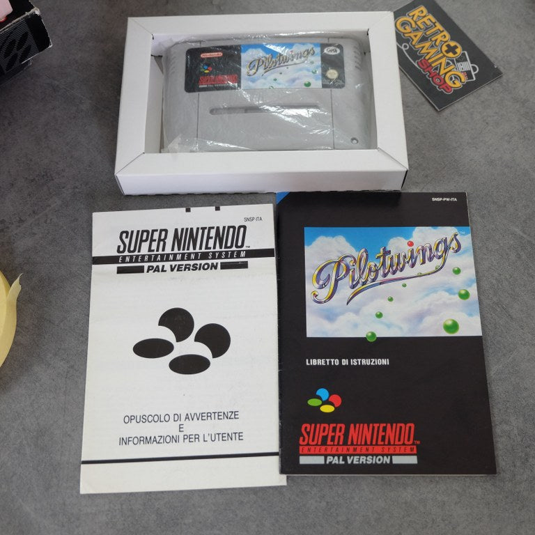 Pilotwings Gig Nintendo