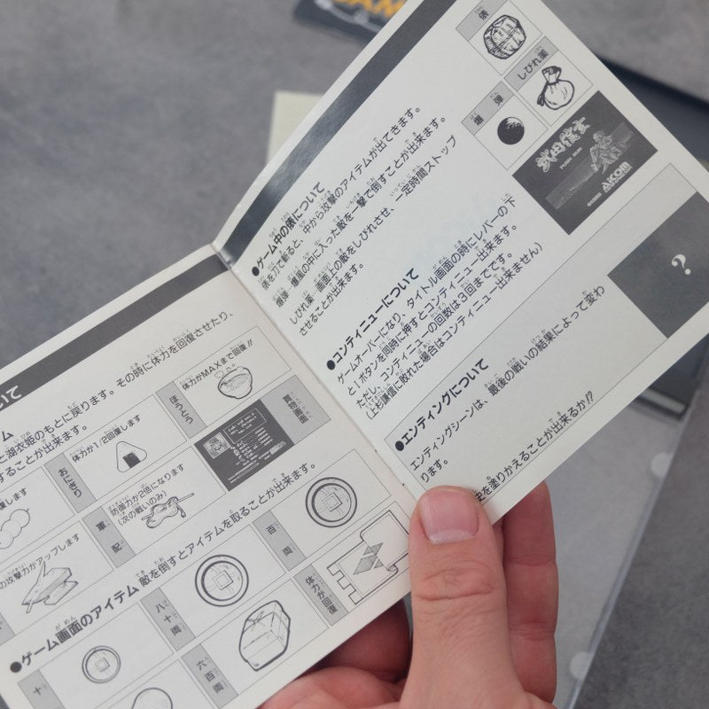 Takeda Shingen NEC