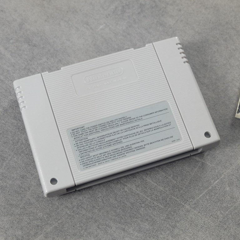 The Adventures of Mighy Max Nintendo