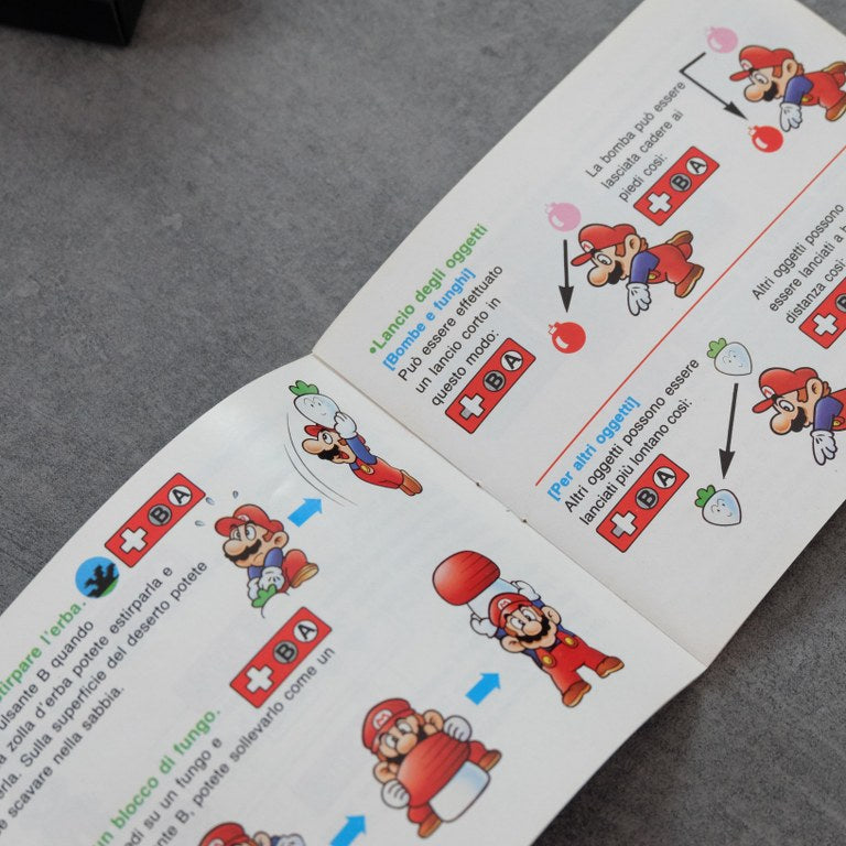 Super Mario Bros 2 Nintendo
