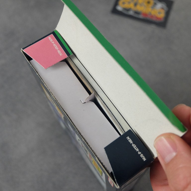 1080° Teneighty Snowboarding Nintendo