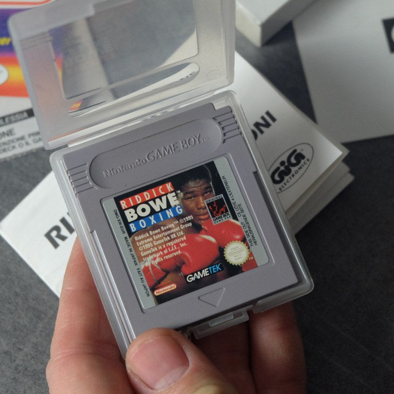 Riddick Bowe Boxing Nintendo