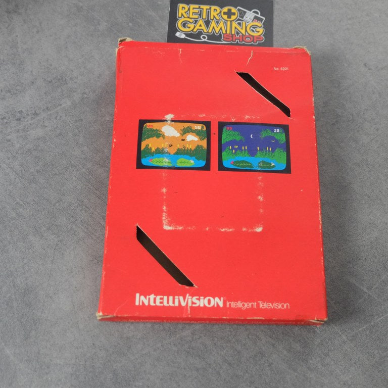 Frog Bog Intellivision