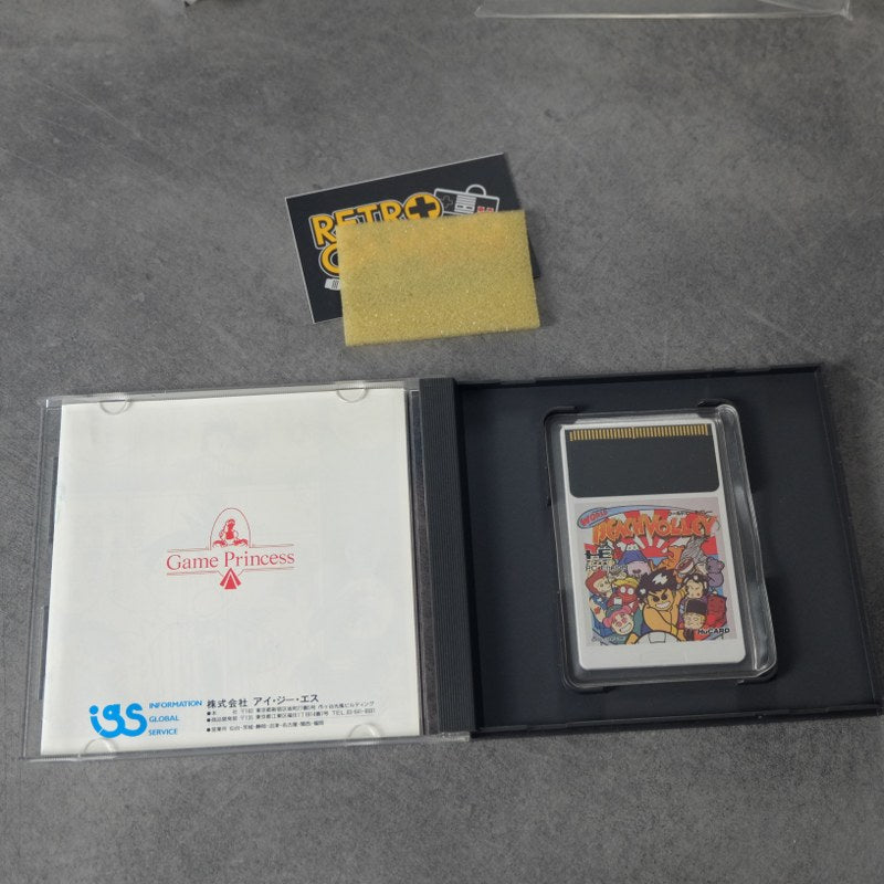 World Beach Volley Pc Engine