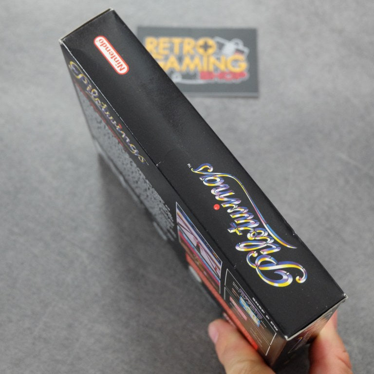 Pilotwings Gig Nintendo