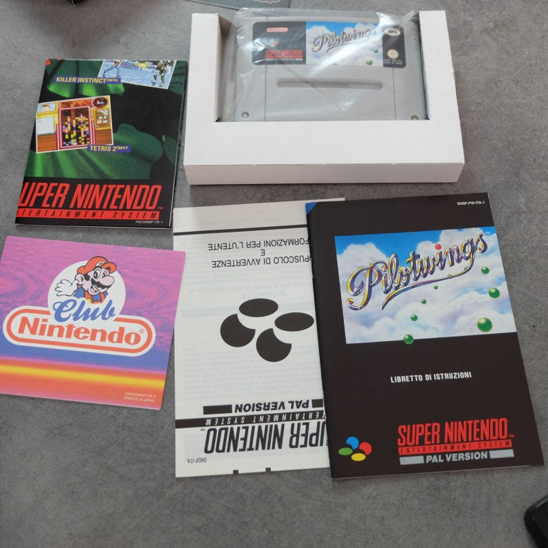 Pilotwings Gig Nintendo