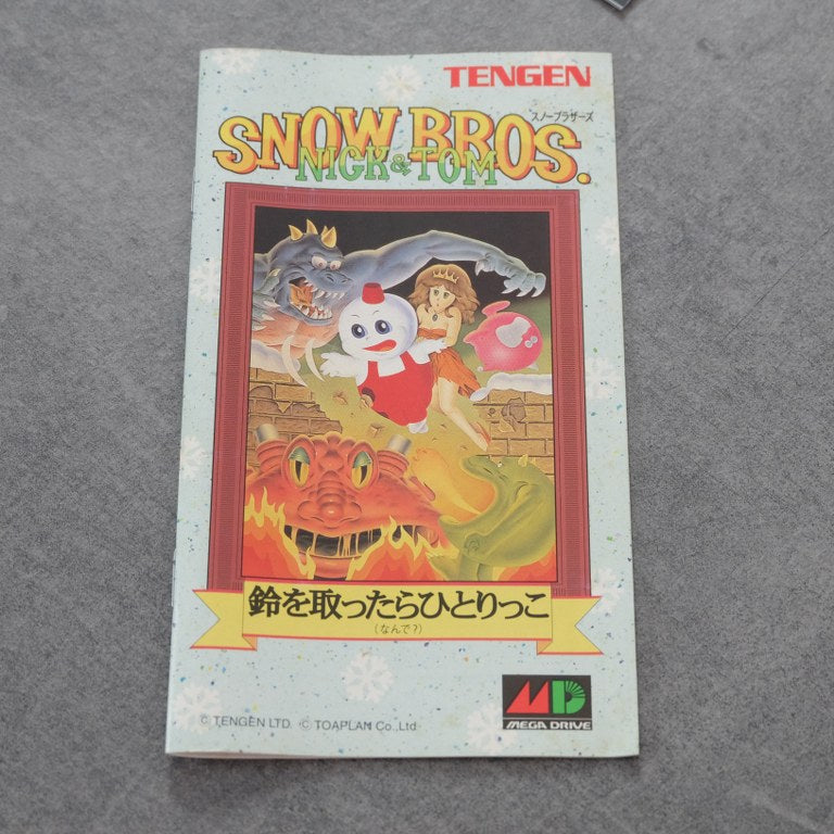 Snow Bros. Nick & Tom SEGA