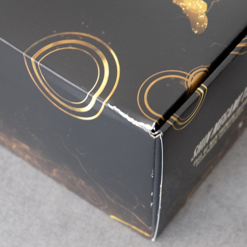 Shin Megami Tensei Fall of a man Premium Edition