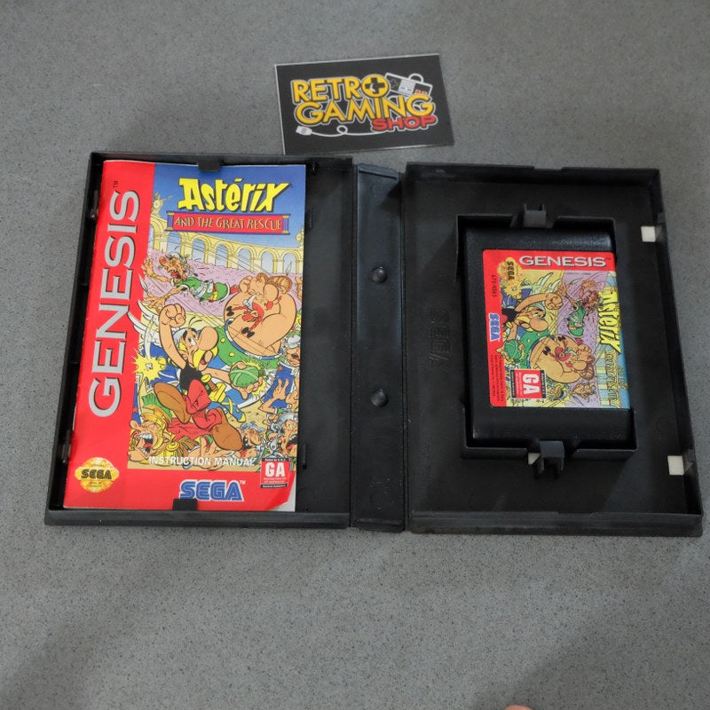 Asterix and the Great Rescue