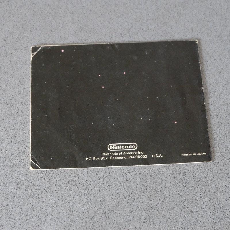 Donkey Kong Jr. - Nintendo